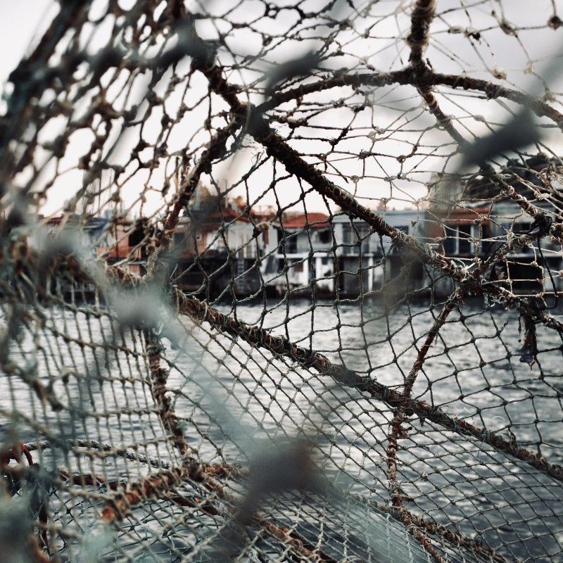 Cover di MERAVIGLIOSO ERRORE